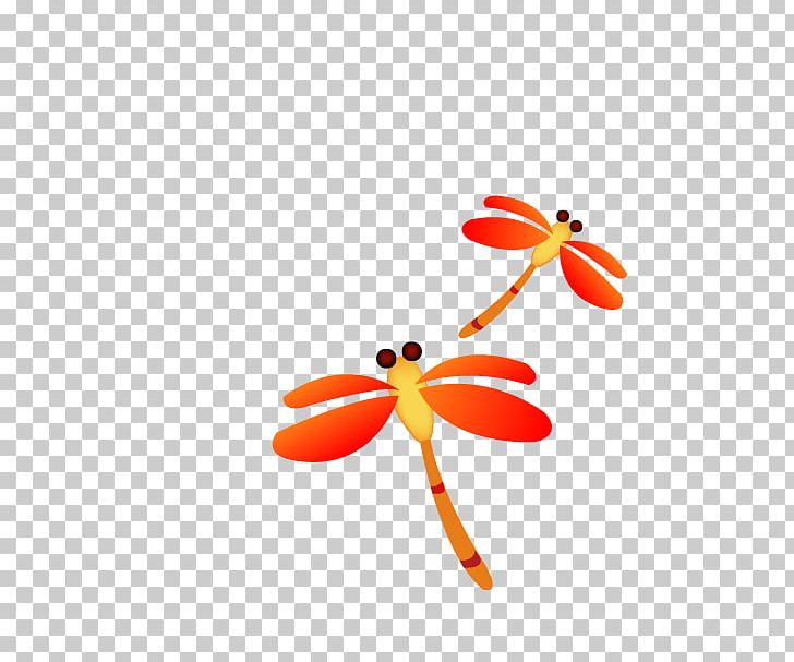 Insect Cartoon PNG, Clipart, Animation, Cartoon, Download, Dragonfly, Dragonfly Vector Free PNG Download