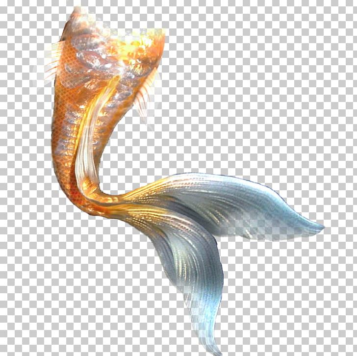 Mermaid Ariel Tail PNG, Clipart, Ariel, Body, Computer, Encapsulated Postscript, Fantasy Free PNG Download