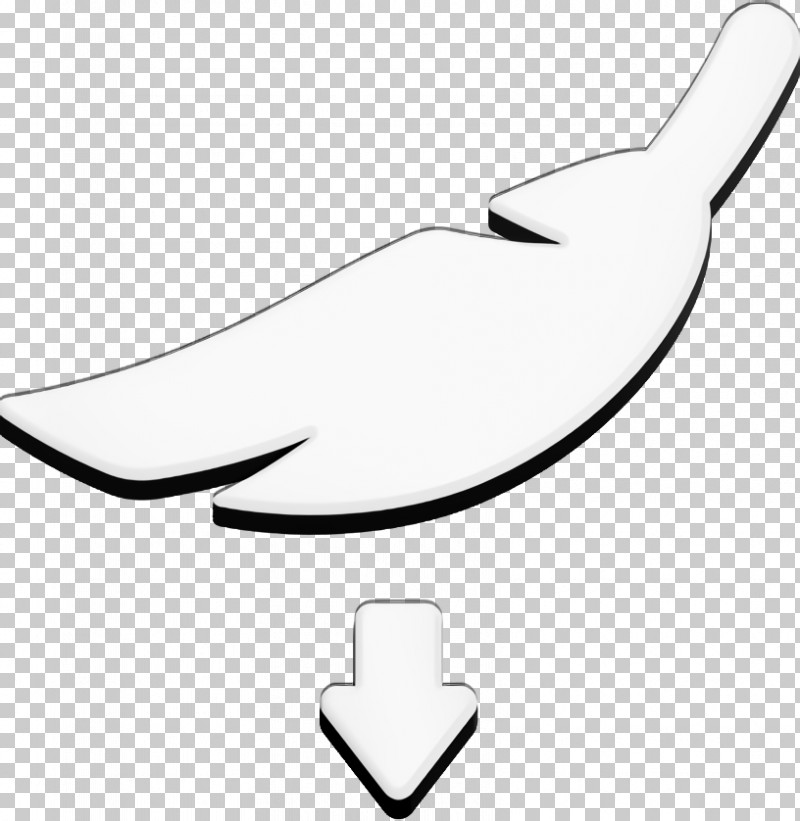 Shipping And Handly Fill Icon Feather Icon Shapes Icon PNG, Clipart, Beak, Biology, Black, Black And White, Feather Icon Free PNG Download