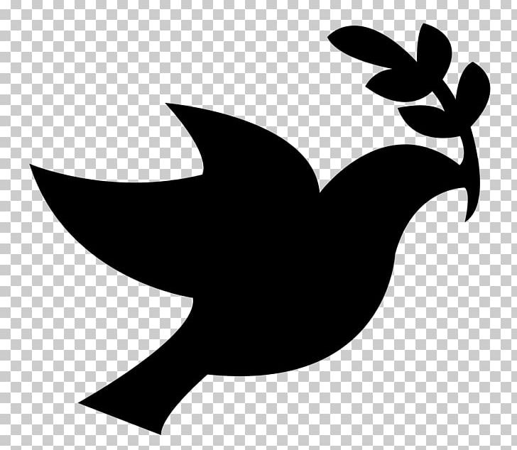 Columbidae Peace Symbols PNG, Clipart, Beak, Bird, Black And White, Chicken, Columbidae Free PNG Download