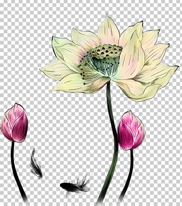 Drawing Designer PNG, Clipart, Cartoon, Color, Cut Flowers, Flower, Flower Arranging Free PNG Download