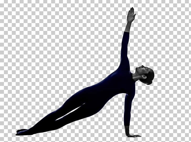 Yoga Physical Fitness Silhouette Physical Exercise Pilates PNG, Clipart, Arm, Halasana, Joint, Photography, Physical Exercise Free PNG Download