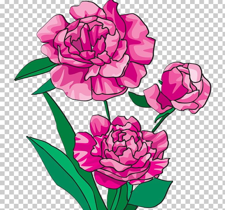 Arranging Cut Flowers Caribbean Flowers Peony PNG, Clipart, Caribbean Flowers, Creative Market, Cut Flowers, Floral Design, Floristry Free PNG Download