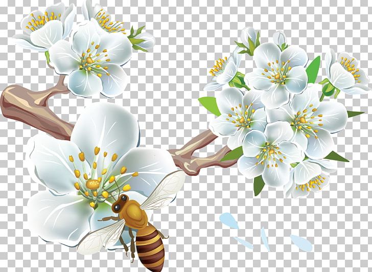 Bee Cherry Blossom Flower PNG, Clipart, Arthropod, Blossom, Branch, Bud, Computer Wallpaper Free PNG Download