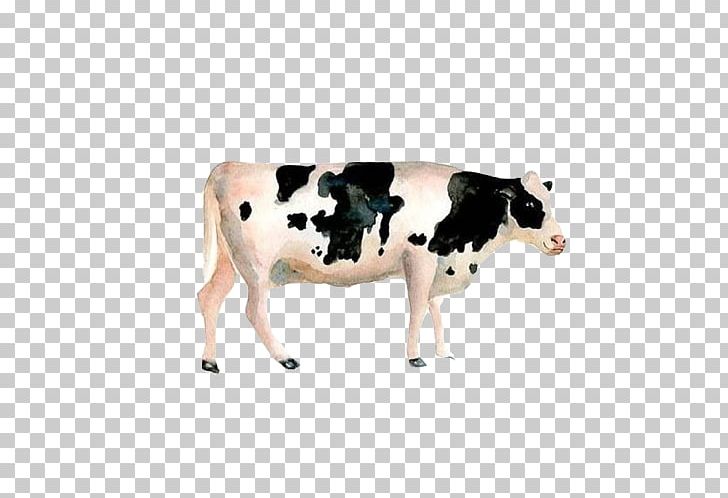 Dairy Cattle Calf Watercolor Painting PNG, Clipart, Animals, Black, Bull, Cattle, Cattle Like Mammal Free PNG Download