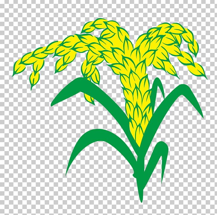 Euclidean Rice Vecteur Wheat PNG, Clipart, Artwork, Artworks, Download, Drawing, Flora Free PNG Download