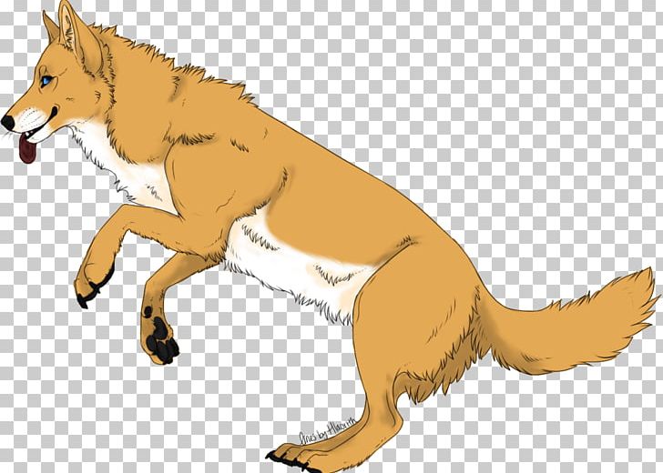 Red Fox Dog Drawing PNG, Clipart,  Free PNG Download