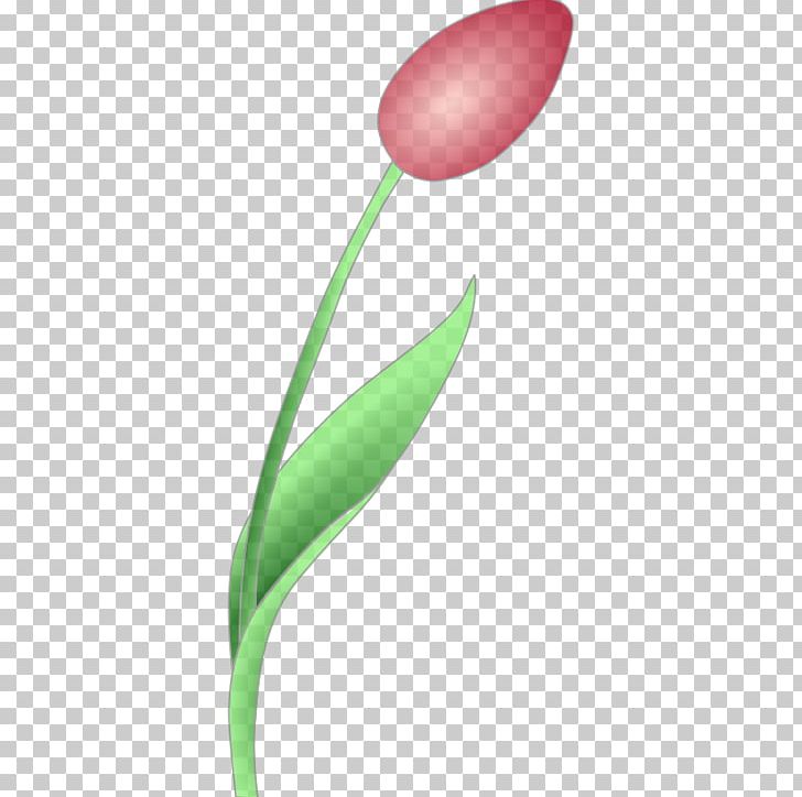 Tulip Flower PNG, Clipart, Euclidean Vector, Flower, Flowering Plant, Free Content, Petal Free PNG Download