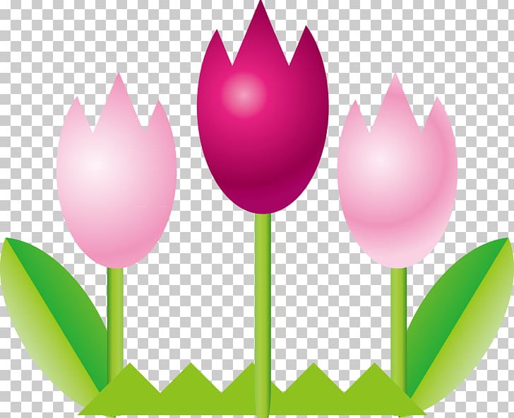 Tulip PhDr. Katherine Koting PNG, Clipart, Balloon, Cartoon, Download, Encapsulated Postscript, Environmental Vector Free PNG Download