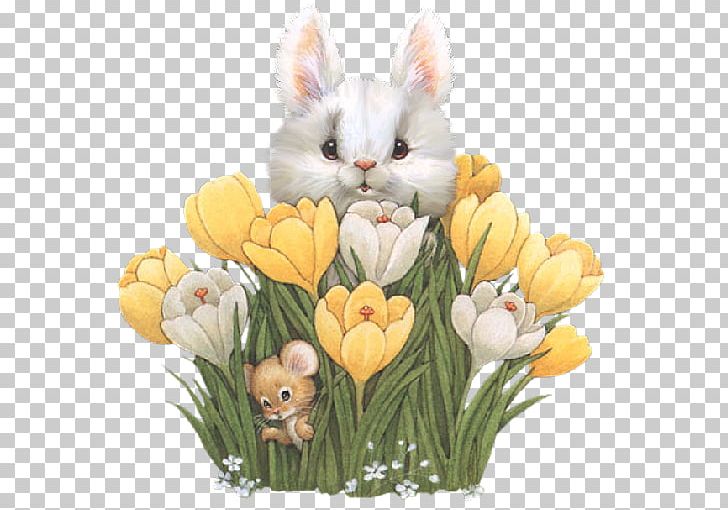 Animation Morning PNG, Clipart, Afternoon, Animation, Blog, Bunny, Cartoon Free PNG Download