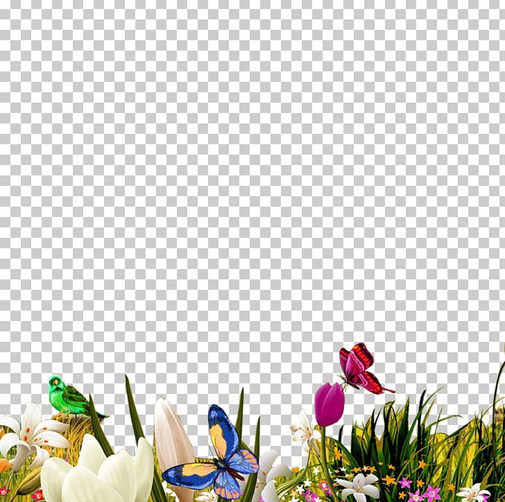 Flower Herbaceous Plant Tulip PNG, Clipart, Birds, Butterfly, Cdr, Computer Wallpaper, Dwg Free PNG Download