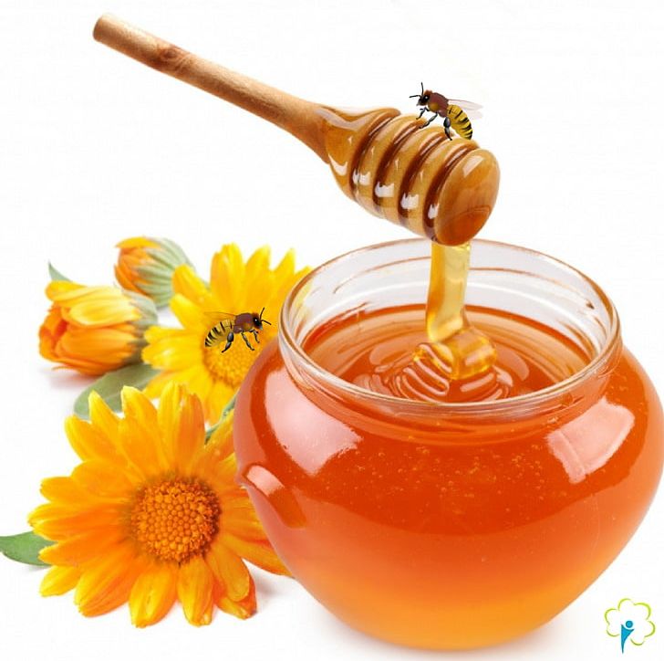 Honey Organic Food Bee Health PNG, Clipart, Bee, Diet, Disease, Food, Food Drinks Free PNG Download