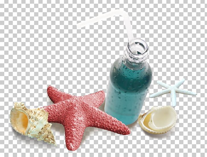 Starfish Computer File PNG, Clipart, Animals, Beautiful Starfish, Bottle, Chemical Element, Conch Free PNG Download