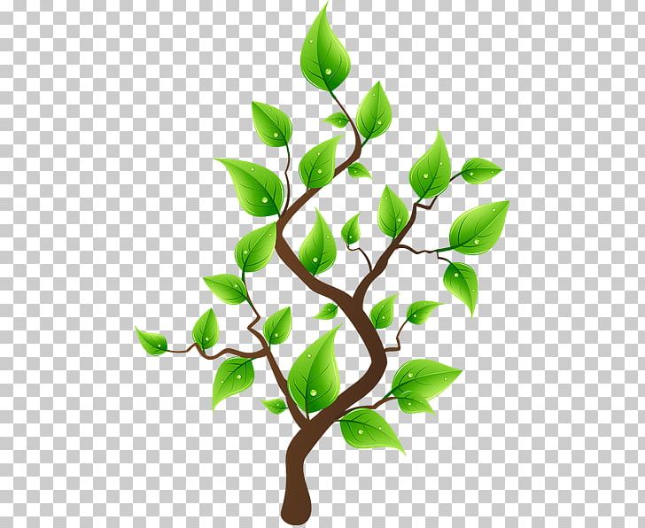 Tree Planting Flowerpot PNG, Clipart, Branch, Drawing, Flowerpot, Garden, Leaf Free PNG Download