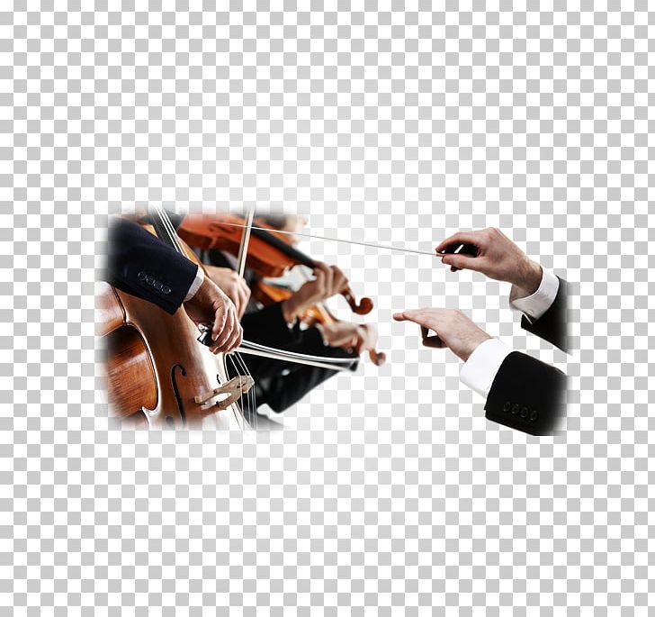 Violin Cello Viola Musical Instruments Musician PNG, Clipart, Bowed String Instrument, Cellist, Cello, Concert, Fiddle Free PNG Download