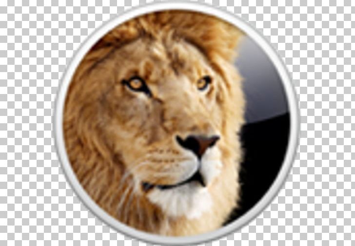 Mac OS X Lion MacOS Installation Operating Systems Apple PNG, Clipart, Apple, Big Cats, Carnivoran, Cat Like Mammal, Fur Free PNG Download