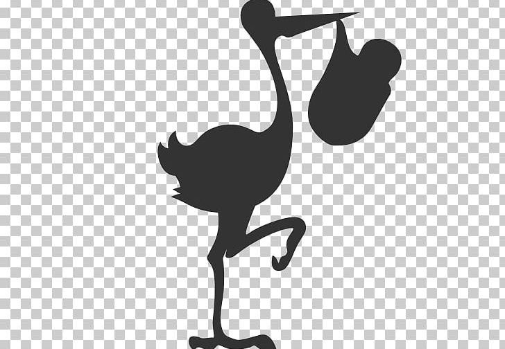 Bird White Stork Common Ostrich Goose PNG, Clipart, Animals, Beak, Bird, Black And White, Black Stork Free PNG Download