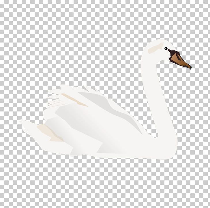 Duck Domestic Goose Cygnini PNG, Clipart, Adobe Illustrator, Animal, Animals, Background White, Beak Free PNG Download