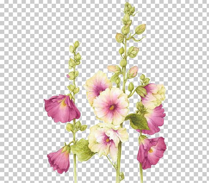 Watercolor: Flowers Flower Painting Watercolor Painting Botanical Illustration PNG, Clipart, Annual Plant, Art, Botanical Illustration, Botany, Color Free PNG Download