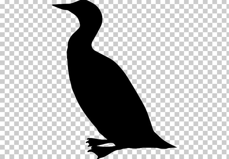 Bird Duck Mallard Cormorant Goose PNG, Clipart, Animal, Animals, Beak, Bird, Bird Flight Free PNG Download