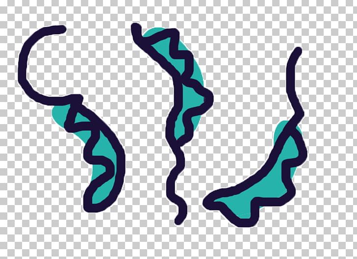 Body Jewellery Organism Line PNG, Clipart, Art, Body Jewellery, Body Jewelry, Giardia, Jewellery Free PNG Download