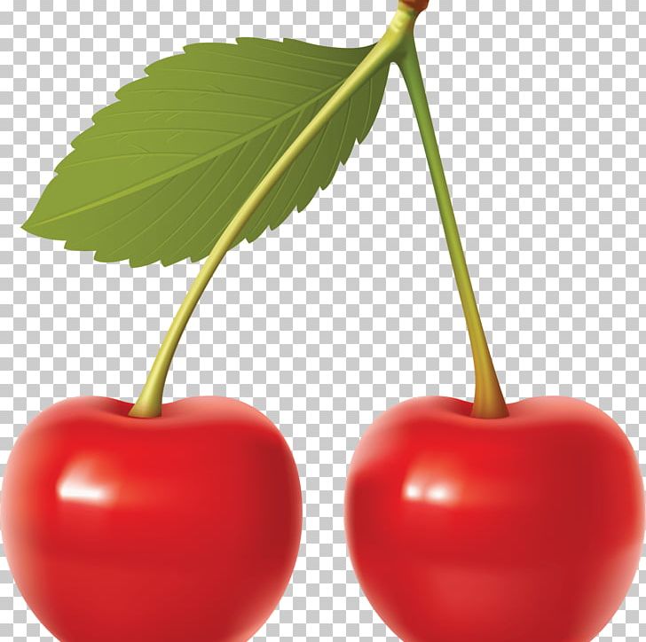 Cherry PNG, Clipart, Cherry, Cherry Fruit, Clip Art, Download, Food Free PNG Download