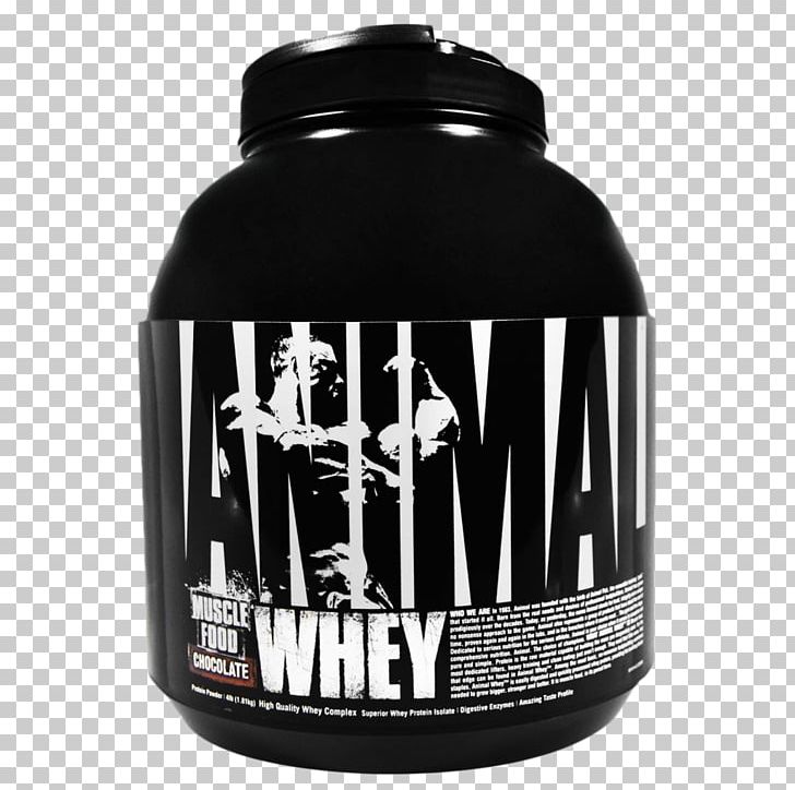 Dietary Supplement Whey Protein Isolate Nutrition PNG, Clipart, Animal Product, Bodybuilding Supplement, Dietary Supplement, Food, Gainer Free PNG Download