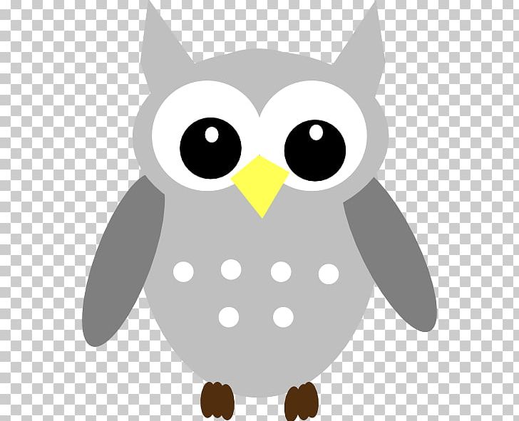 Eastern Screech Owl Grey PNG, Clipart, Beak, Bird, Bird Of Prey, Blue, Cat Free PNG Download