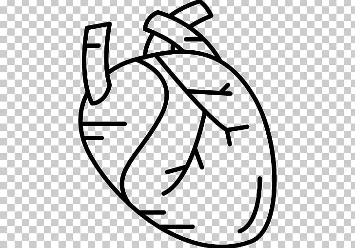 Heart Human Body Computer Icons PNG, Clipart, Anatomy, Angle, Area, Artery, Black Free PNG Download
