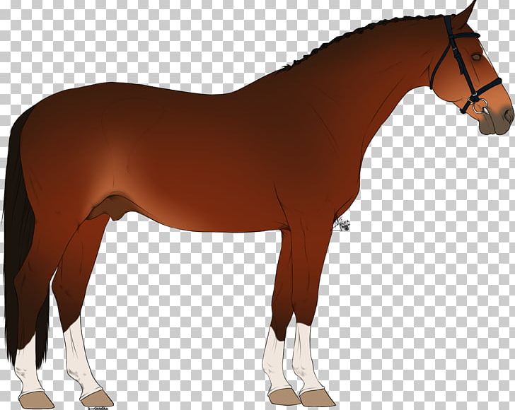 Horse Pony Stallion Rein Mare PNG, Clipart, Animals, Bit, Bridle, Colt, English Riding Free PNG Download