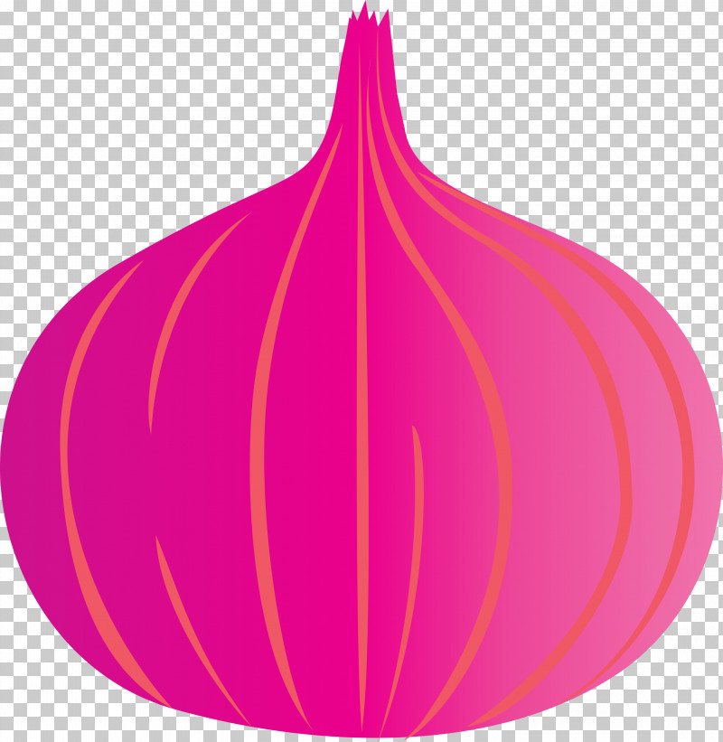 Onion PNG, Clipart, Biology, Flower, Geometry, Leaf, Line Free PNG Download