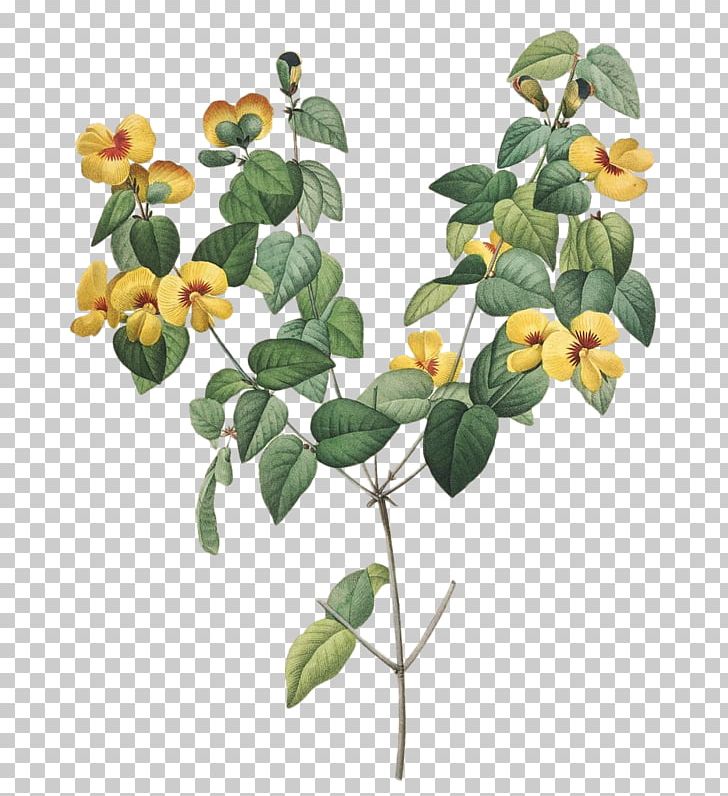 Book Flower Illustration Illustrator Painting PNG, Clipart, Book, Book Review, Branch, Cut Flowers, Flower Free PNG Download