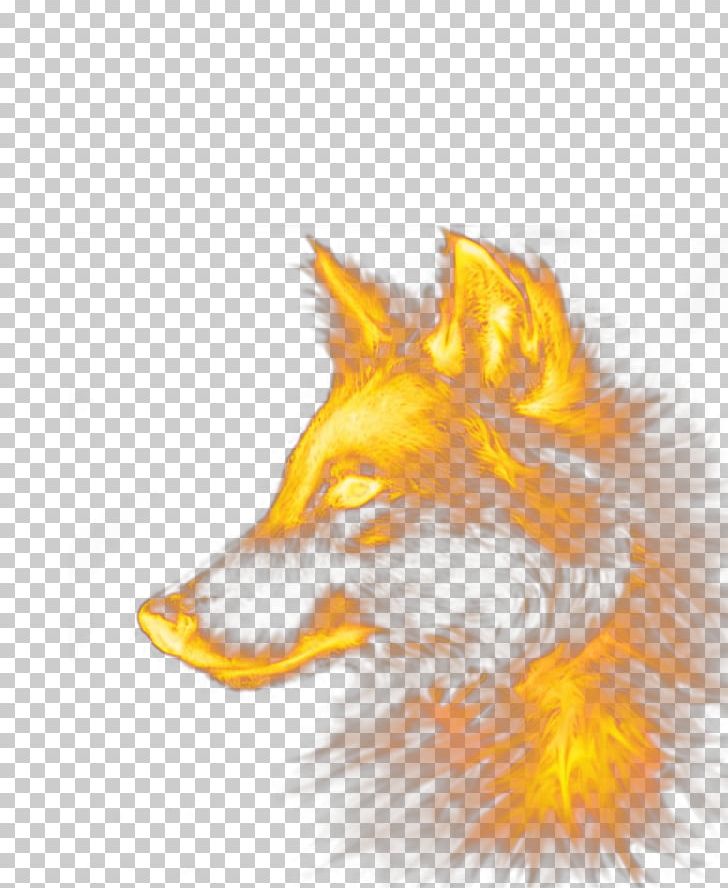 Dog Red Fox PNG, Clipart, Burst Effect, Canidae, Carnivoran, Computer, Dog Like Mammal Free PNG Download