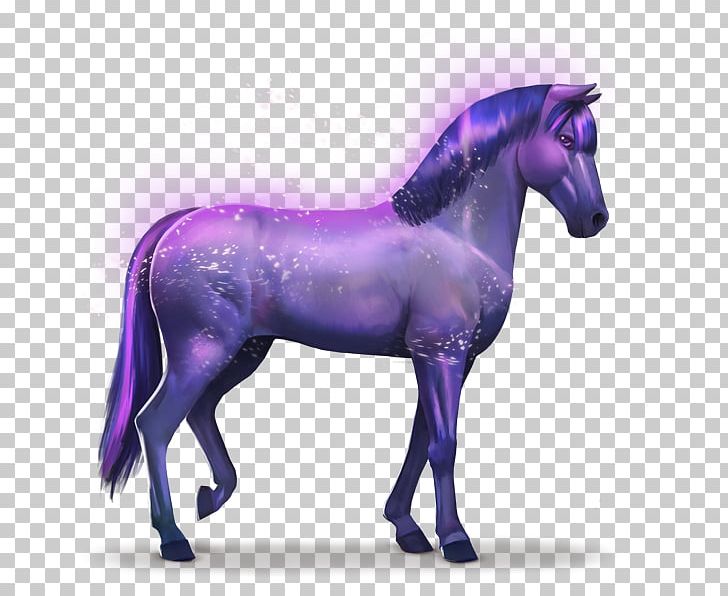 Horse Howrse Rainbow Indigo Aretus PNG, Clipart, Animals, Aretus, Breeder, Christian Mission, Colt Free PNG Download