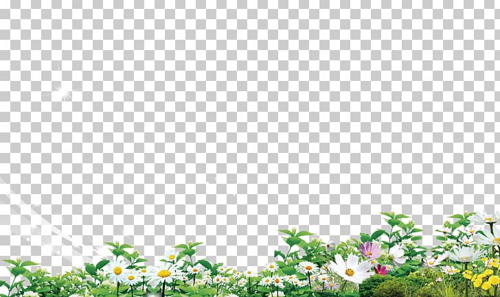 Poster PNG, Clipart, Download, Euclidean Vector, Flower, Flower Bouquet, Flower Pattern Free PNG Download