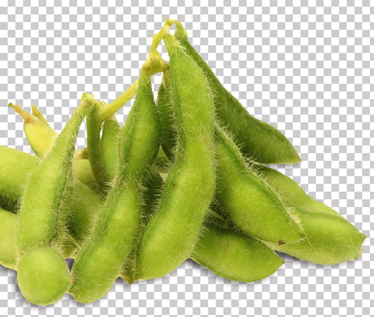 Edamame Soy Milk Milk Substitute Bean PNG, Clipart, Appetizer, Bean, Commodity, Dish, Edamame Free PNG Download