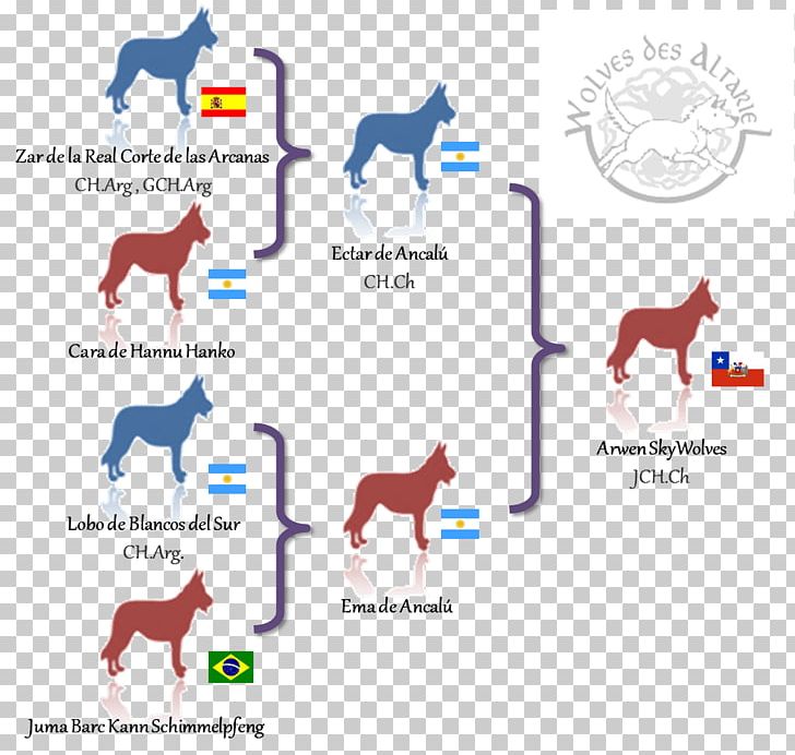 Mustang Foal Dog Pack Animal Pet PNG, Clipart, Animal, Animal Figure, Area, Arwen, Canidae Free PNG Download