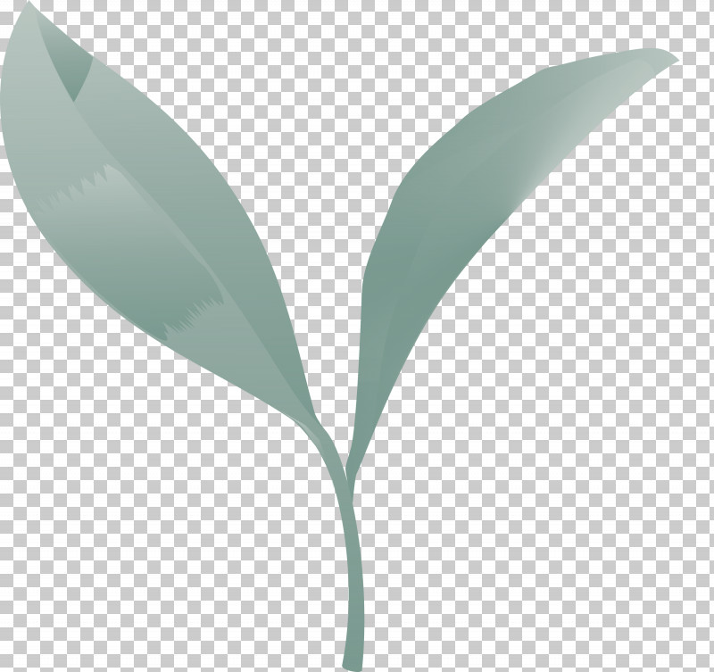 Tea Leaves Leaf Spring PNG, Clipart, Eucalyptus, Flower, Green, Leaf, Lily Of The Valley Free PNG Download