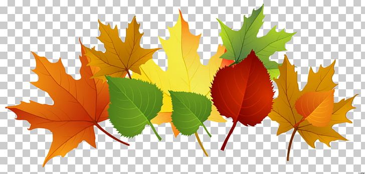 Autumn Leaf Color PNG, Clipart, Autumn, Autumn Leaf Color, Autumn Leaves, Computer Wallpaper, Desktop Wallpaper Free PNG Download