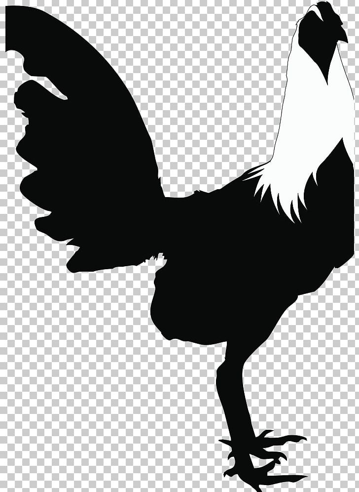 Chicken Silhouette Rooster PNG, Clipart, Beak, Bird, Black And White, Chicken, Computer Icons Free PNG Download