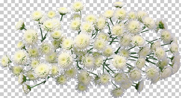Chrysanthemum Flower Bouquet Garden Roses PNG, Clipart, Blossom, Branch, Chrysanthemum, Chrysanths, Cloud Free PNG Download
