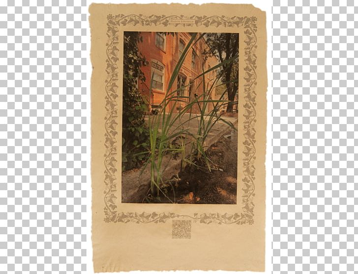 Frames PNG, Clipart, Flora, Others, Picture Frame, Picture Frames Free PNG Download
