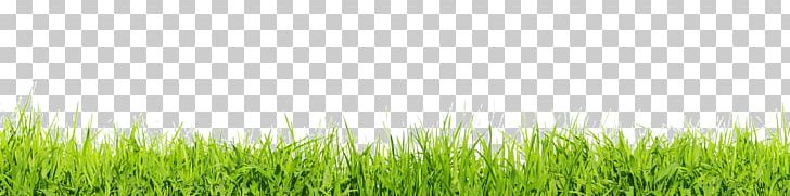 Lawn Desktop Stock Photography PNG, Clipart, Commodity, Crop, Desktop Wallpaper, Drawing, Field Free PNG Download