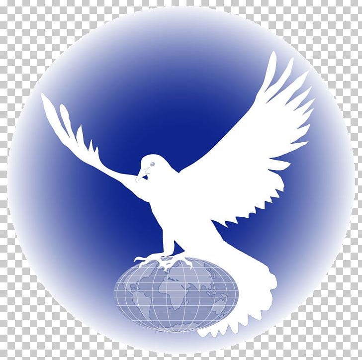 Repentance End Time Holiness Movement Second Coming Messiah PNG, Clipart, Beak, Bird, Bird Of Prey, Christian Church, Christian Ministry Free PNG Download