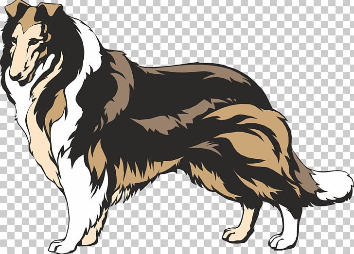 Rough Collie Border Collie Smooth Collie PNG, Clipart, Border Collie, Breed, Brown, Carnivoran, Clip Art Free PNG Download