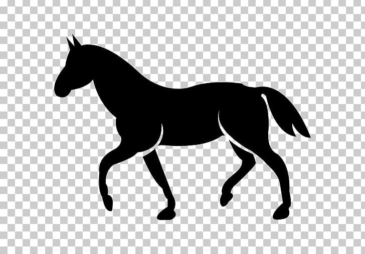 Standardbred The Black Cat Stitchery Tennessee Walking Horse Equestrian PNG, Clipart, Animals, Black, Collection, Grass, Horse Free PNG Download