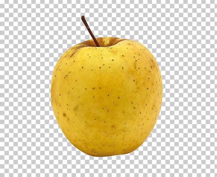 Apple Golden Delicious Red Delicious Ginger Gold Cultivar PNG, Clipart, Apple, Apples, Cortland, Cultivar, Food Free PNG Download
