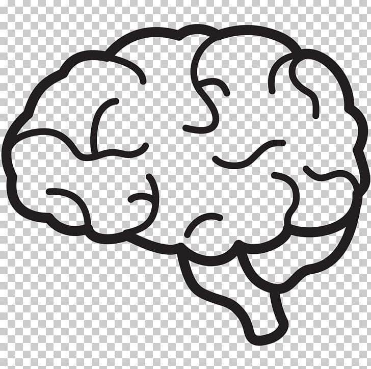 Human Brain Free Content PNG, Clipart, Area, Black And White, Brain, Brainstem, Circle Free PNG Download