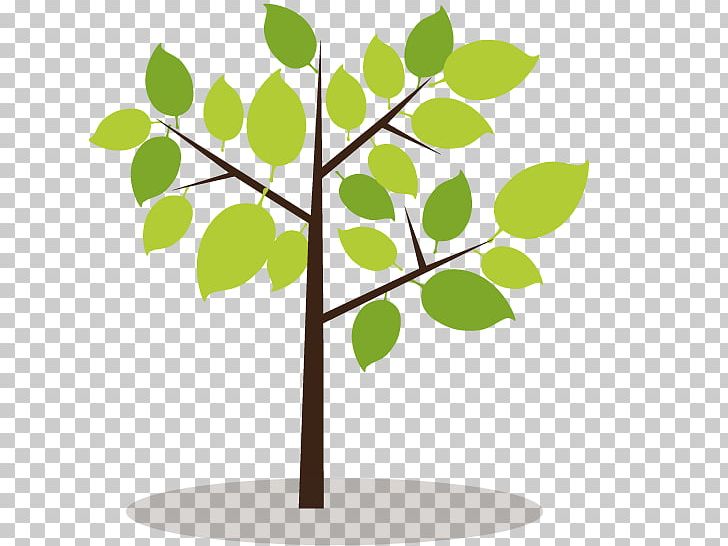 Tree PNG, Clipart, Branch, Child, Family Tree, Flora, Flower Free PNG Download