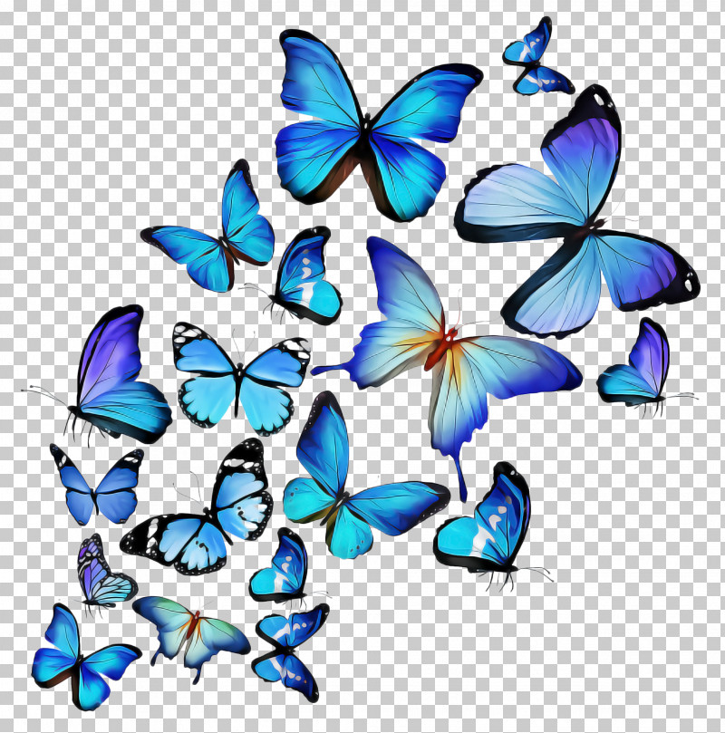 Butterfly Moths And Butterflies Insect Pollinator PNG, Clipart, Butterfly, Insect, Moths And Butterflies, Pollinator Free PNG Download
